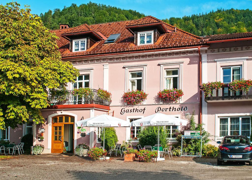 Gasthof Zum Niederhaus - Familie Perthold Sankt Aegyd am Neuwalde Exteriör bild