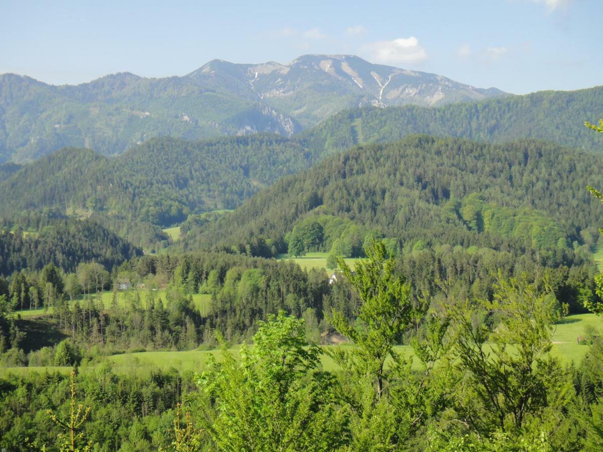 Gasthof Zum Niederhaus - Familie Perthold Sankt Aegyd am Neuwalde Exteriör bild